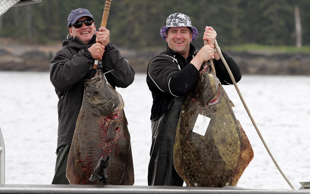 Salmon and halibut self-guided fishing
