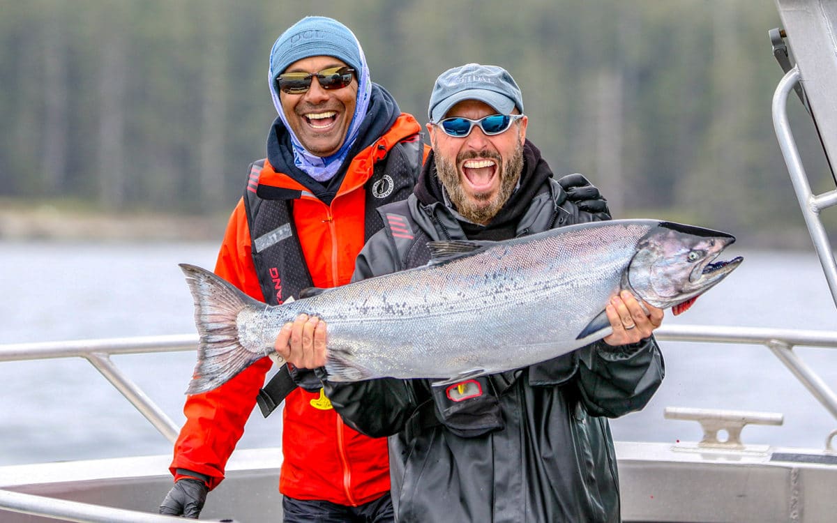 QCL Chinook salmon