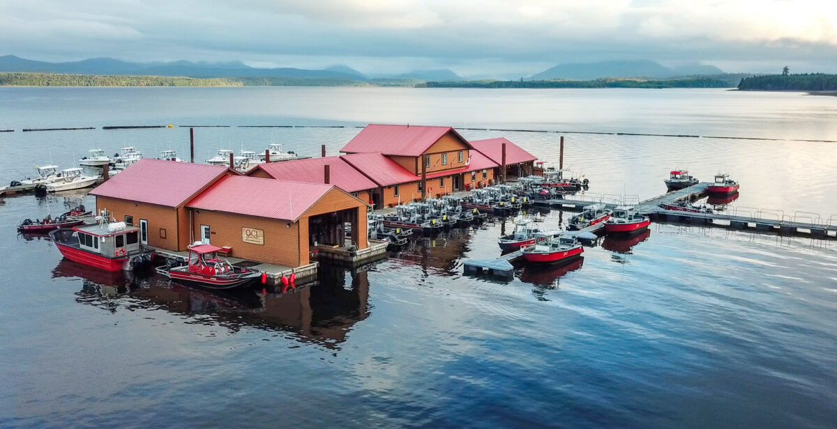 QCL Dock 2020
