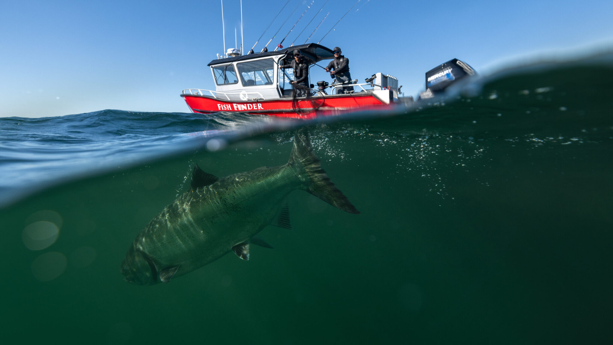 Forfaits de pêche au saumon coho — Maude Island Fishing Retreat – Maude Island Fishing Retreat